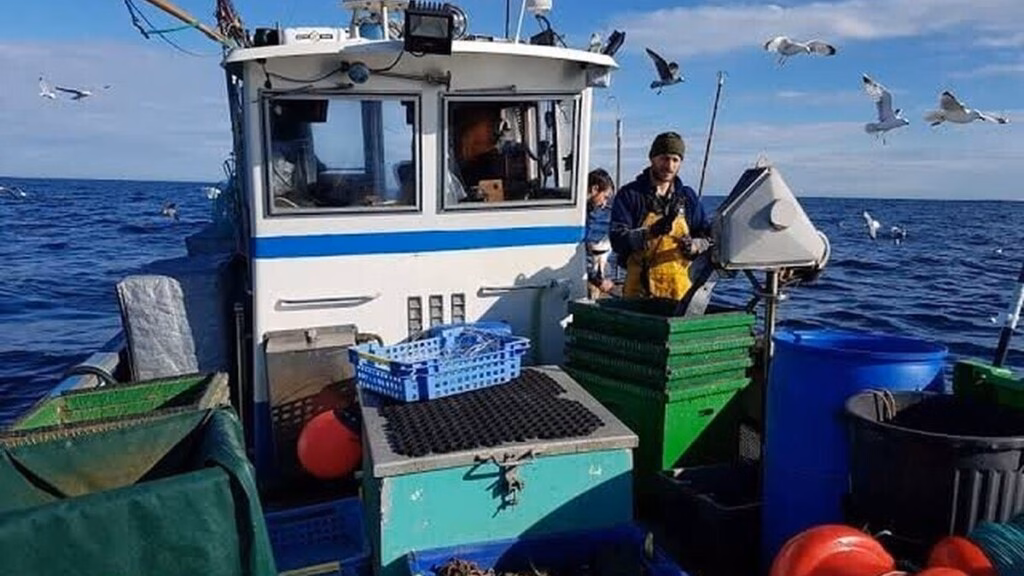 Pêche : la France demande à l’Union européenne de faciliter le renouvellement des flottes