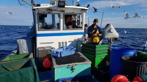 Pêche : la France demande à l’Union européenne de faciliter le renouvellement des flottes