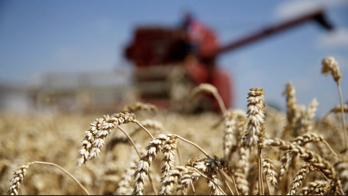 Agriculture : la France veut ramener à 20 mg/kg le cadmium dans les engrais phosphatés d’ici 2030 Agriculture : la France veut ramener à 20 mg/kg le cadmium dans les engrais phosphatés d’ici 2030