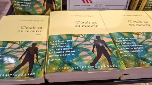 IA et littérature : 92 % des Français veulent savoir si un livre a été écrit par une intelligence artificielle