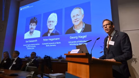 Nobel de médecine : trois chercheurs récompensés pour avoir éclairé les secrets du cerveau