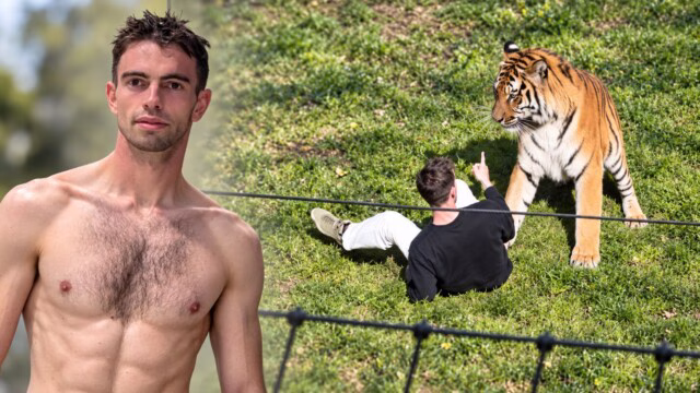 Tué par un tigre dans un zoo en Angleterre: William Chapman identifié, des témoins avaient tenté de l’empêcher d’approcher le félin