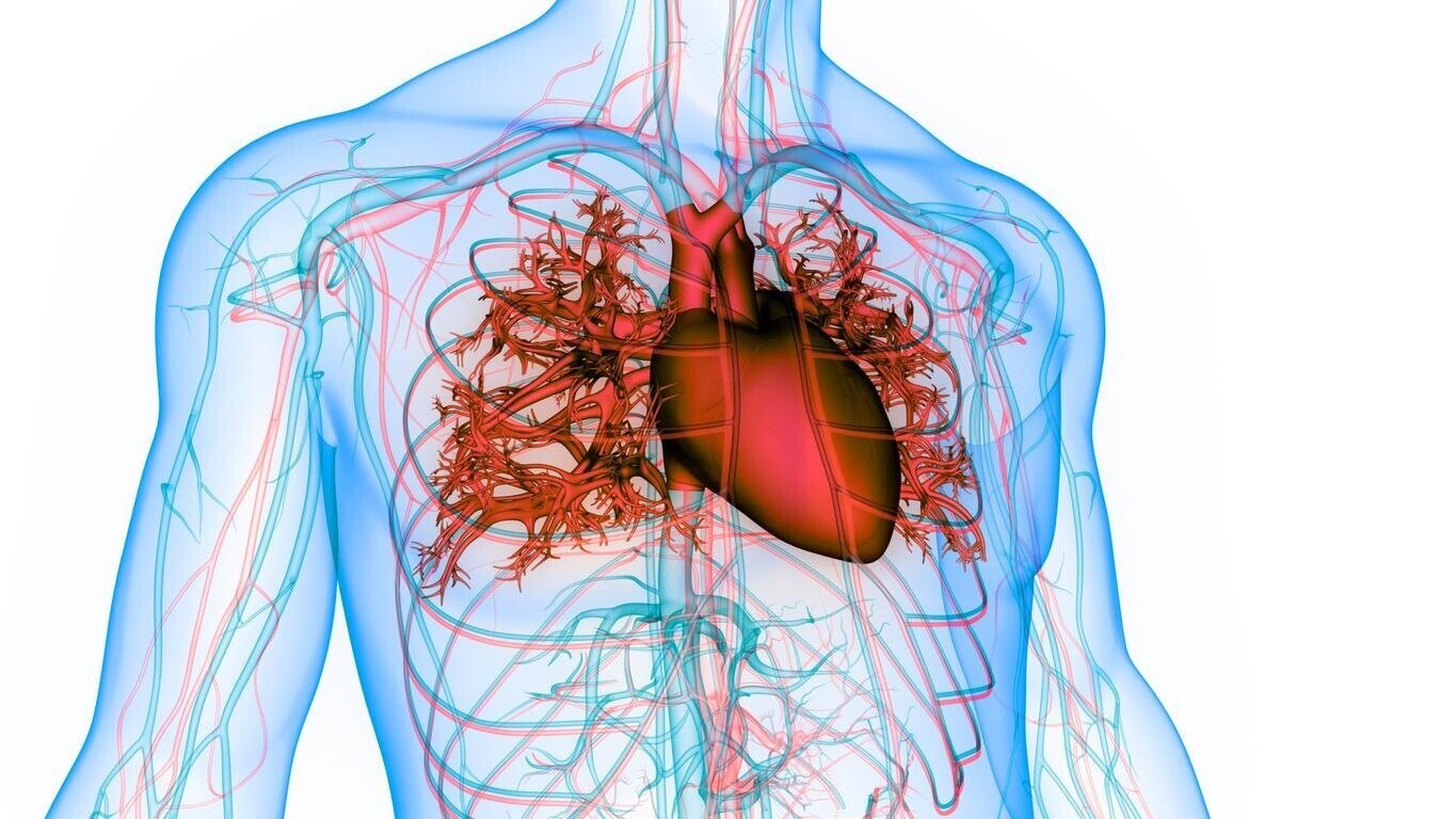 Fibrillation atriale : ce trouble du cœur qui peut provoquer un AVC sans prévenir