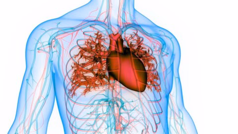 Fibrillation atriale : ce trouble du cœur qui peut provoquer un AVC sans prévenir