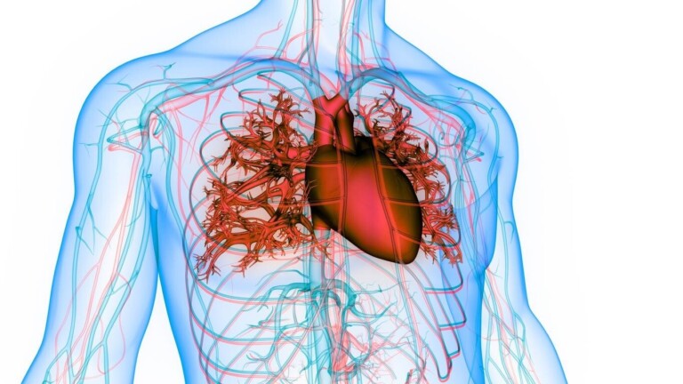 Fibrillation atriale : ce trouble du cœur qui peut provoquer un AVC sans prévenir