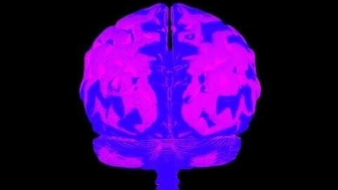 Encéphalite : cette inflammation du cerveau qui peut devenir une urgence vitale