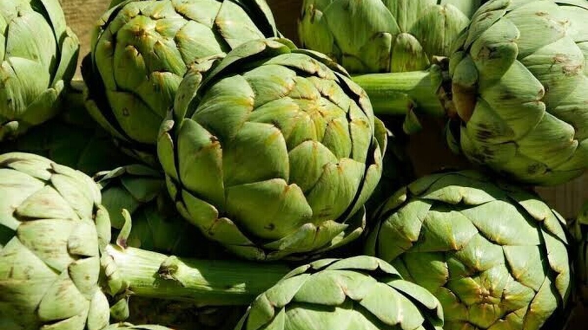 Artichaut : ce légume aux nombreux bienfaits mérite-t-il vraiment sa réputation ?
