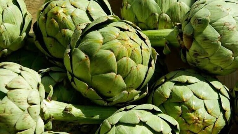 Artichaut : ce légume aux nombreux bienfaits mérite-t-il vraiment sa réputation ?
