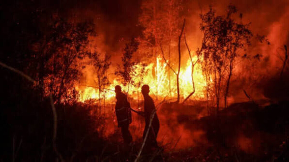 Indonésie : la pollution des incendies aurait provoqué 3 560 morts en septembre — photo