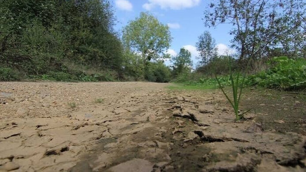 Bretagne : malgré l'automne, la sécheresse menace l'approvisionnement en eau potable de milliers d'habitants
