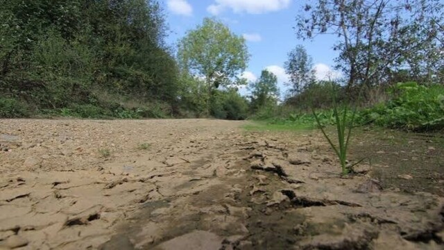 Bretagne : malgré l'automne, la sécheresse menace l'approvisionnement en eau potable de milliers d'habitants