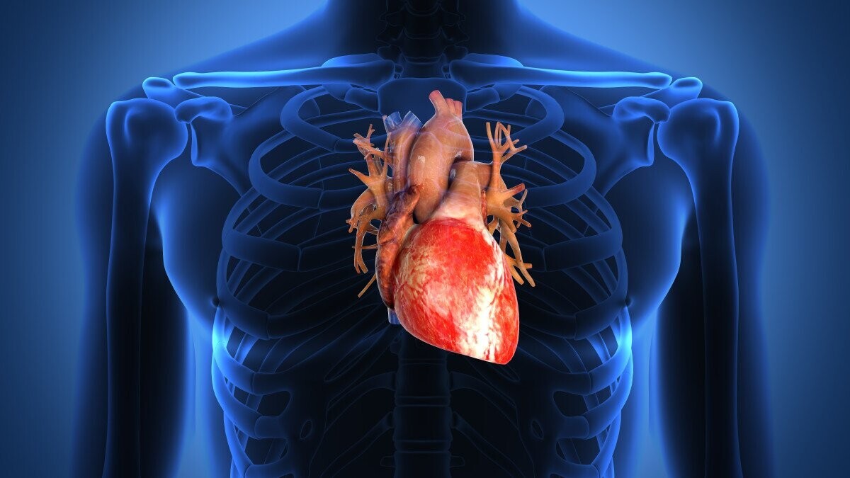 Insuffisance cardiaque : ces quatre signes que beaucoup de patients ne reconnaissent pas
