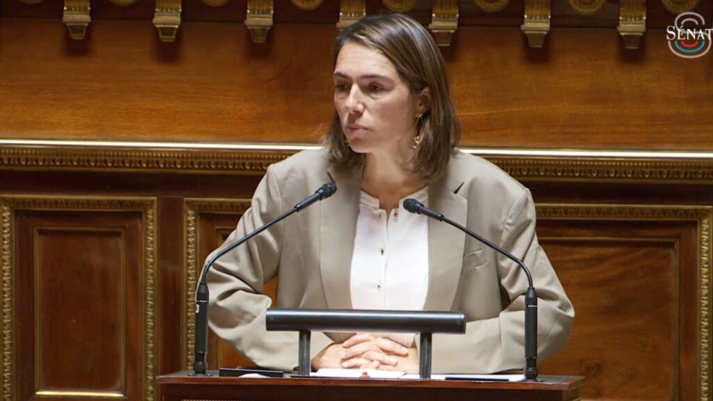 Sénat : Christine Lavarde devient la première femme rapporteure générale du budget